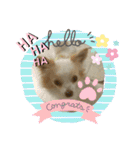 かわいいすぎるワンコスタンプ（個別スタンプ：24）