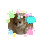 かわいいすぎるワンコスタンプ（個別スタンプ：25）