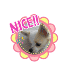 かわいいすぎるワンコスタンプ（個別スタンプ：27）