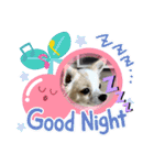 かわいいすぎるワンコスタンプ（個別スタンプ：29）