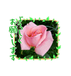 お庭に咲いたお花（個別スタンプ：1）