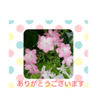 お庭に咲いたお花（個別スタンプ：2）