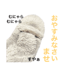 手袋兄弟（個別スタンプ：2）