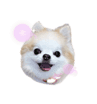 ひなちゃん.com（個別スタンプ：1）