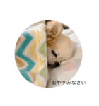 ひなちゃん.com（個別スタンプ：4）