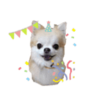 ひなちゃん.com（個別スタンプ：5）