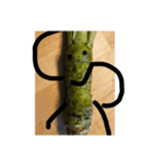 WASABI NO OWARI（個別スタンプ：3）