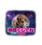 みらいひまわりチョコ仲良しちゃん（個別スタンプ：8）