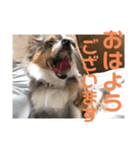 〜りんの日常〜（個別スタンプ：2）
