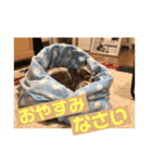 〜りんの日常〜（個別スタンプ：3）