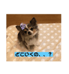 〜りんの日常〜（個別スタンプ：6）