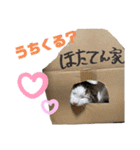 垂れ目王子ほたての日常スタンプ②（個別スタンプ：22）