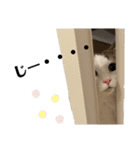 垂れ目王子ほたての日常スタンプ②（個別スタンプ：27）