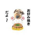 ウェルシュテリア♡ジェリーさんの1日(13)（個別スタンプ：15）
