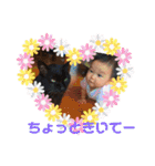 ハルヒナNO.1（個別スタンプ：1）