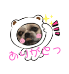 モヒカン蓮くんの呟き（個別スタンプ：2）