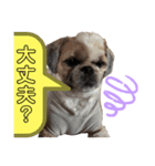 モヒカン蓮くんの呟き（個別スタンプ：3）