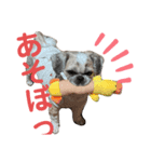 モヒカン蓮くんの呟き（個別スタンプ：4）