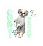 モヒカン蓮くんの呟き（個別スタンプ：5）
