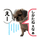 モヒカン蓮くんの呟き（個別スタンプ：7）