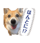 大園家の天使達（個別スタンプ：7）