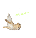 おまめの日常。2（個別スタンプ：7）