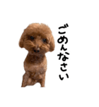 おじまろのきもち（個別スタンプ：3）