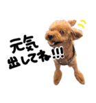 おじまろのきもち（個別スタンプ：5）