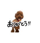 おじまろのきもち（個別スタンプ：9）