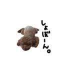 おじまろのきもち（個別スタンプ：11）