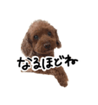 おじまろのきもち（個別スタンプ：14）