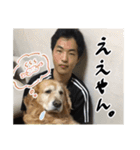実家の犬ボスのスタンプ（個別スタンプ：38）