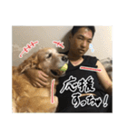 実家の犬ボスのスタンプ（個別スタンプ：40）