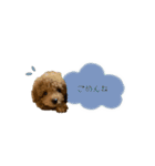 毎日使えるヌンちゃんスタンプ❤︎（個別スタンプ：8）