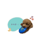 毎日使えるヌンちゃんスタンプ❤︎（個別スタンプ：12）