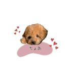 毎日使えるヌンちゃんスタンプ❤︎（個別スタンプ：22）