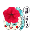 実写のお花達がいっぱいのあいさつスタンプ（個別スタンプ：13）