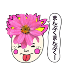実写のお花達がいっぱいのあいさつスタンプ（個別スタンプ：16）