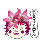 実写のお花達がいっぱいのあいさつスタンプ（個別スタンプ：18）
