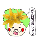 実写のお花達がいっぱいのあいさつスタンプ（個別スタンプ：20）