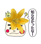 実写のお花達がいっぱいのあいさつスタンプ（個別スタンプ：25）