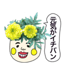 実写のお花達がいっぱいのあいさつスタンプ（個別スタンプ：32）