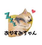 ぼく、犬マロン その1（個別スタンプ：6）
