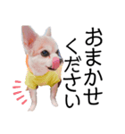 ぼく、犬マロン その1（個別スタンプ：9）