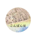 石垣すたんぷ（個別スタンプ：3）