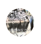石垣すたんぷ（個別スタンプ：4）