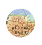 石垣すたんぷ（個別スタンプ：7）