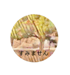 石垣すたんぷ（個別スタンプ：12）