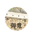石垣すたんぷ（個別スタンプ：16）