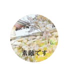 石垣すたんぷ（個別スタンプ：24）